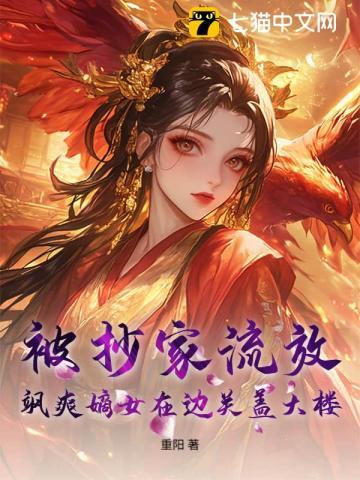 飒爽嫡女在边关盖大楼!