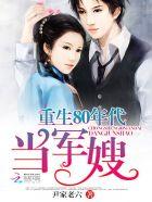 重生80年代军嫂陆战霆